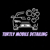Turtly Mobile Detailing