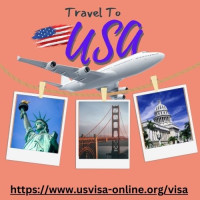 usa visa online