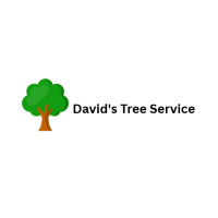 David's Tree Service & Landscaping, LLC
