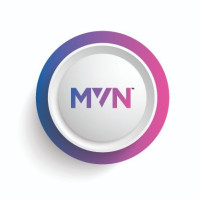 MVN Engineering Services