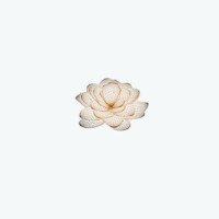 Lotus @ Queensway Medical
