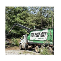 770-Tree-Guy