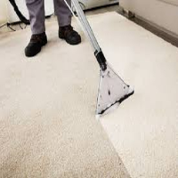 Thompson Rug Cleaning