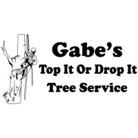 Gabe's Top It or Drop It Tree Service, LLC