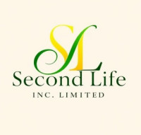 Second Life Divorce Consultant