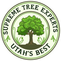 Supreme Tree Experts