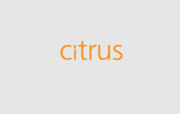 Citrus Leisure PLC