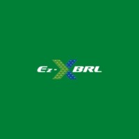 Ez-XBRL Solutions, Inc.