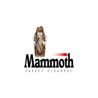 Mammoth Cleaners