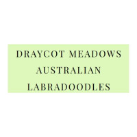 Draycot Meadows, LLC