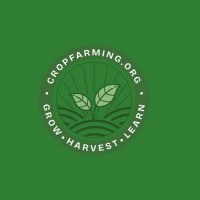 Crop Farming