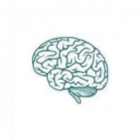 LI Neurology