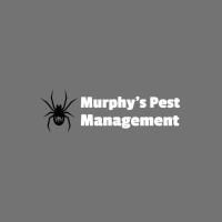 Proffesional Termite Treatment in Penrith 