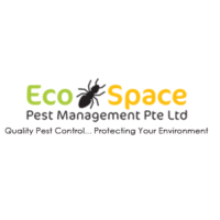 Termite Control Singapore