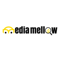 Mediamellow Leading Digital Marketing company in surrey and india.