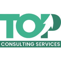 Top Consulting Services LLC