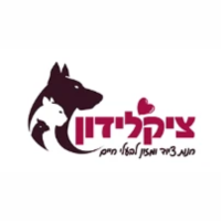 צב למכירה – צבים איכותיים ואביזרי גידול במחירים משתלמים