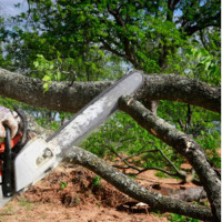 MANNYS TREES & MULTI SERVICES LLC.