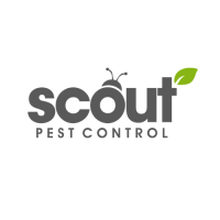 Scout Pest Control