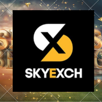 SkyExchange – Your Gateway to Live Sports Access