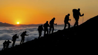 Safaris Tanzania - Benson Safaris Tanzania