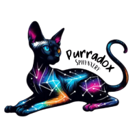 Purradox Sphynxery