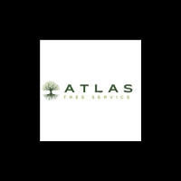 Atlas Tree Service | Austin