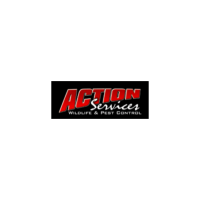 Action Services