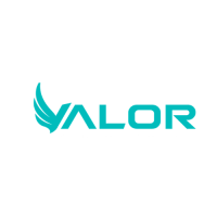 Valor Construction