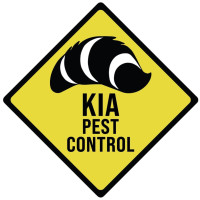 Kia Pest