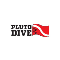 Bull Shark Diving Playa Del Carmen | Epic Dive Experience