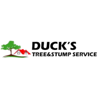 Ducks Tree And Stump Service