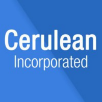 Cerulean Inc