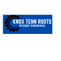 Knox tenn roots