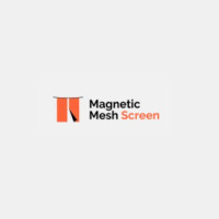 Door screen magnetic