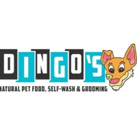 Dingos Natural Pet Food and Spa, Pet Supplies, Food Delivery.
