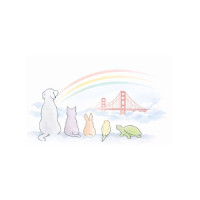 Rainbow Bridge Pet Cremation Services