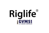 GVMS1 LLC