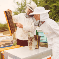 Buzzing Bee