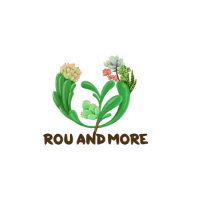 Rou And More