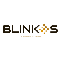 Blink Technology Solutions