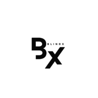 BlindX