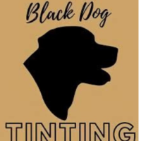 Black Dog Tinting and Paint Protection Film