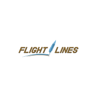 Flight lines Design: Expert Aircraft Painting for Flawless Finishes