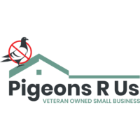 Trusted Pigeon Control Services in Phoenix, Arizona