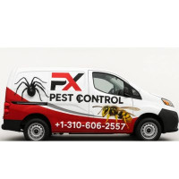 Pest Control Services in Dover
