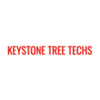 Top Rated Tree Service company in Greater Pittsburgh, PA