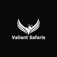 Valiant Safaris