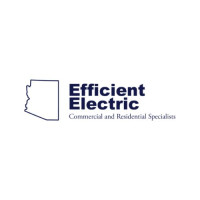 Efficient electric