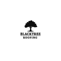 Blacktree Construction LLC